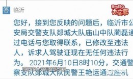 山东实事爆料新闻最新消息,重大事件引发社会关注